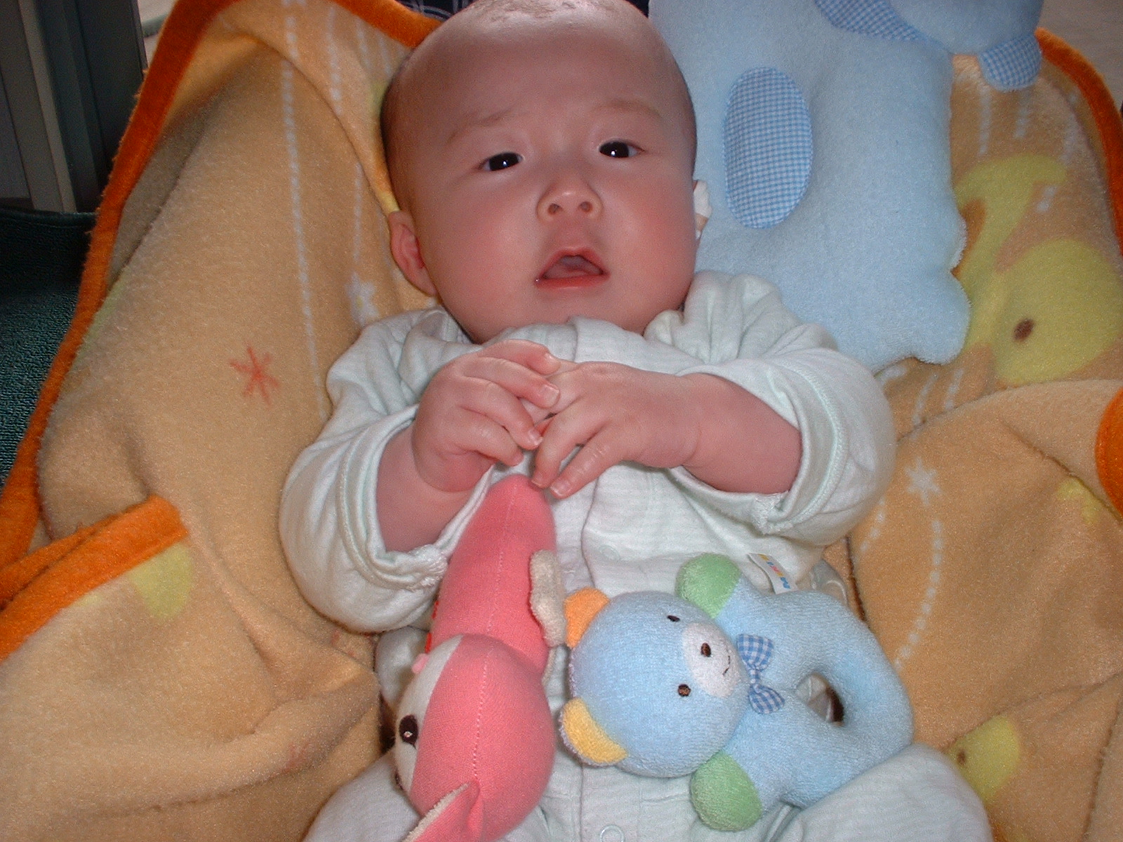 200502180002.JPG