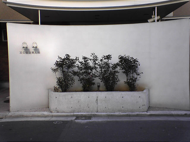 DSC00093.JPG