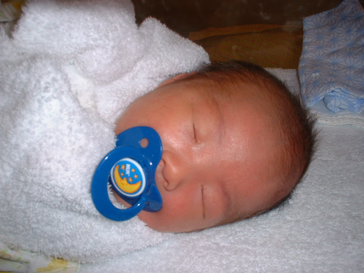 DSCF0001-2.JPG