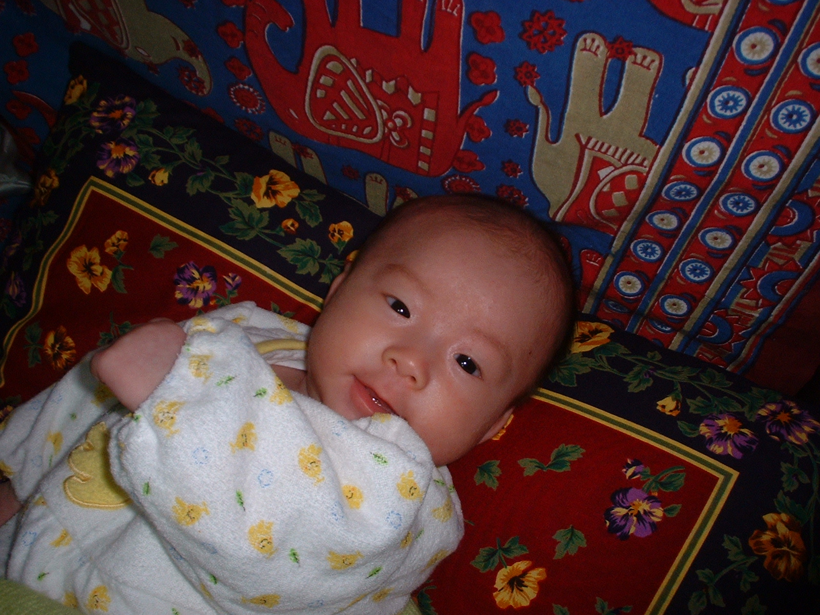DSCF0005.JPG
