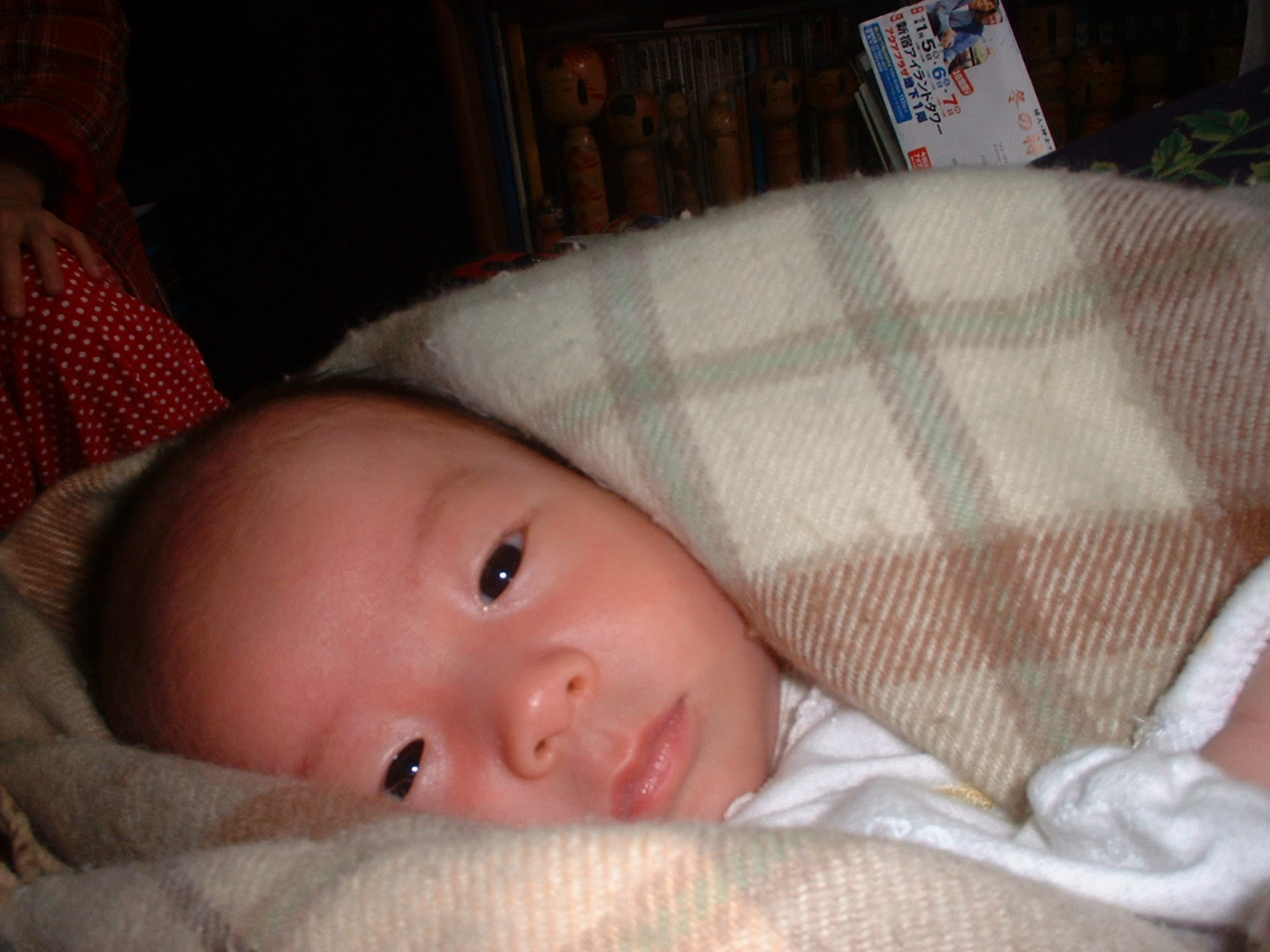 DSCF0021.JPG