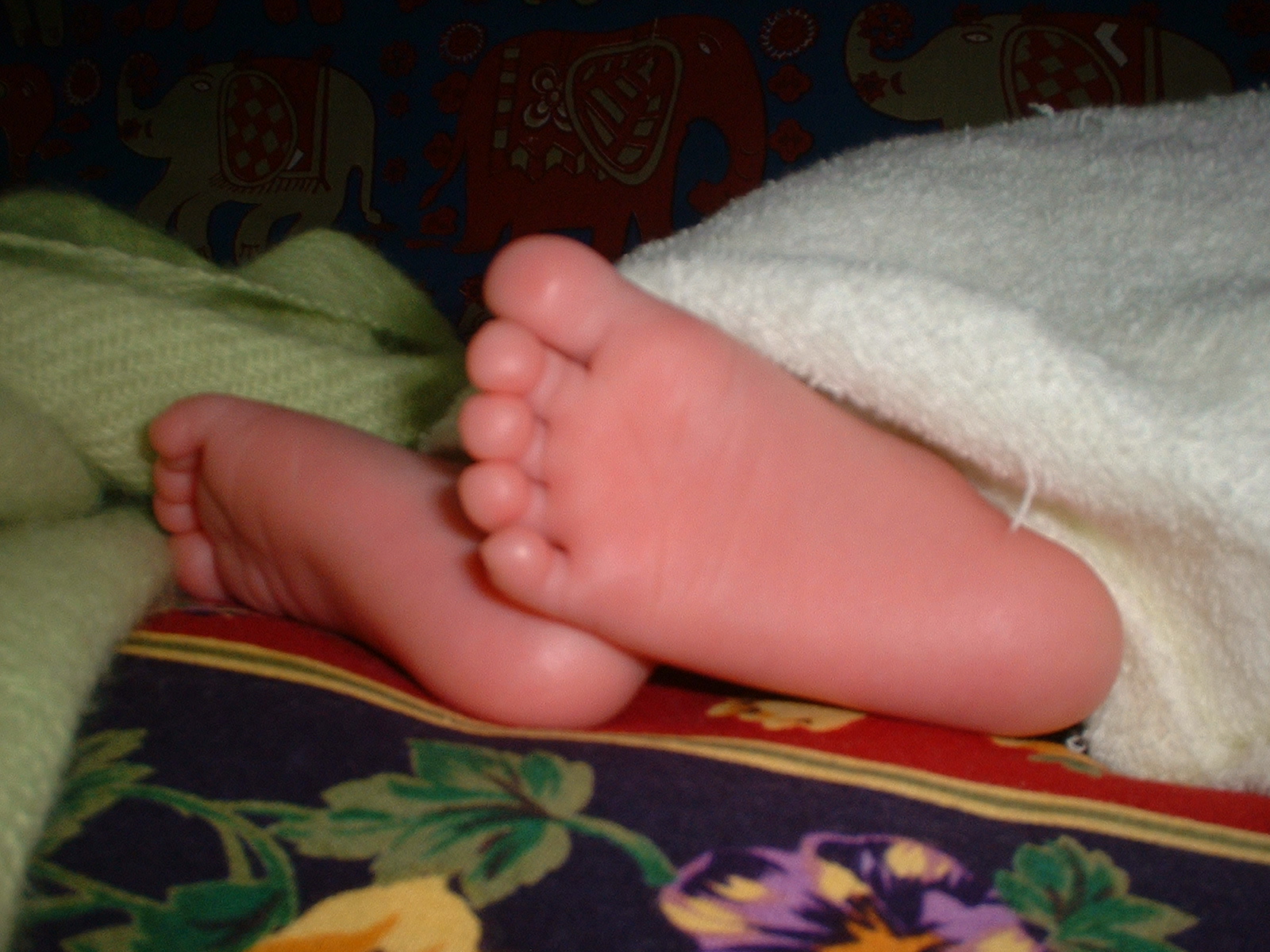 DSCF0024.JPG