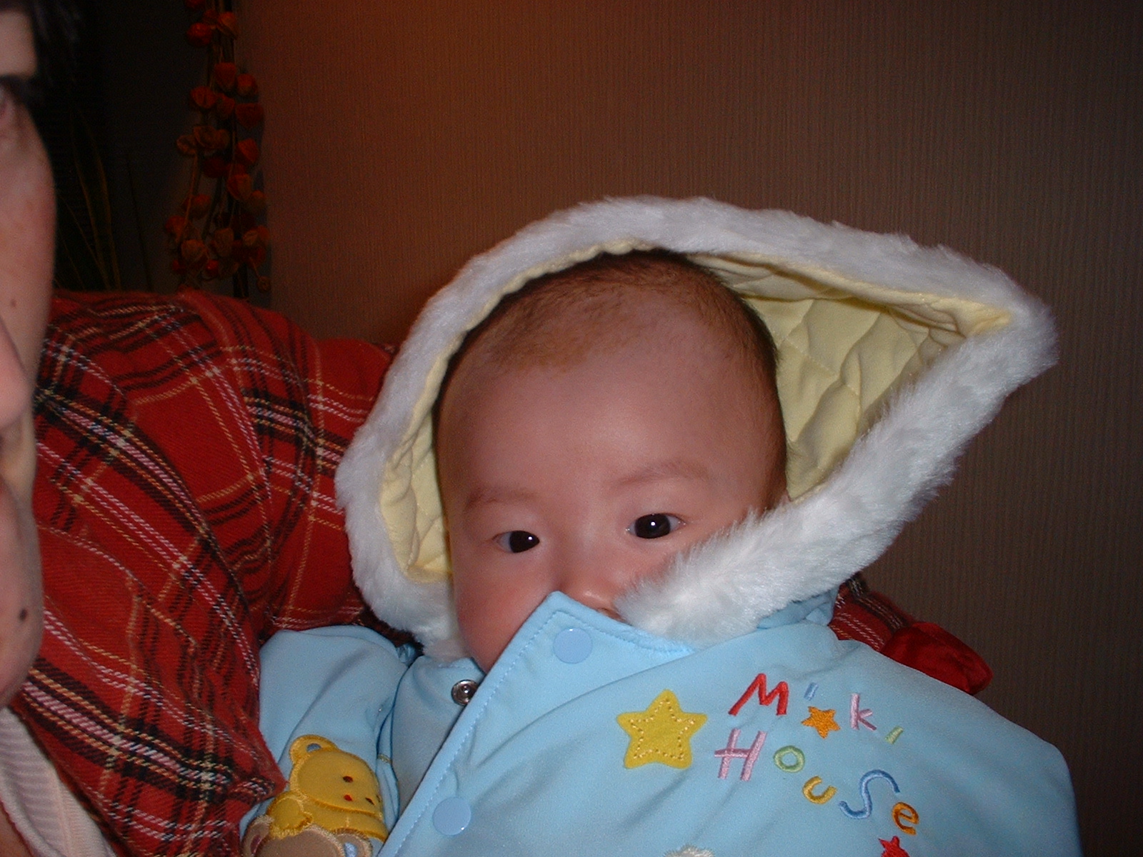 DSCF0027.JPG
