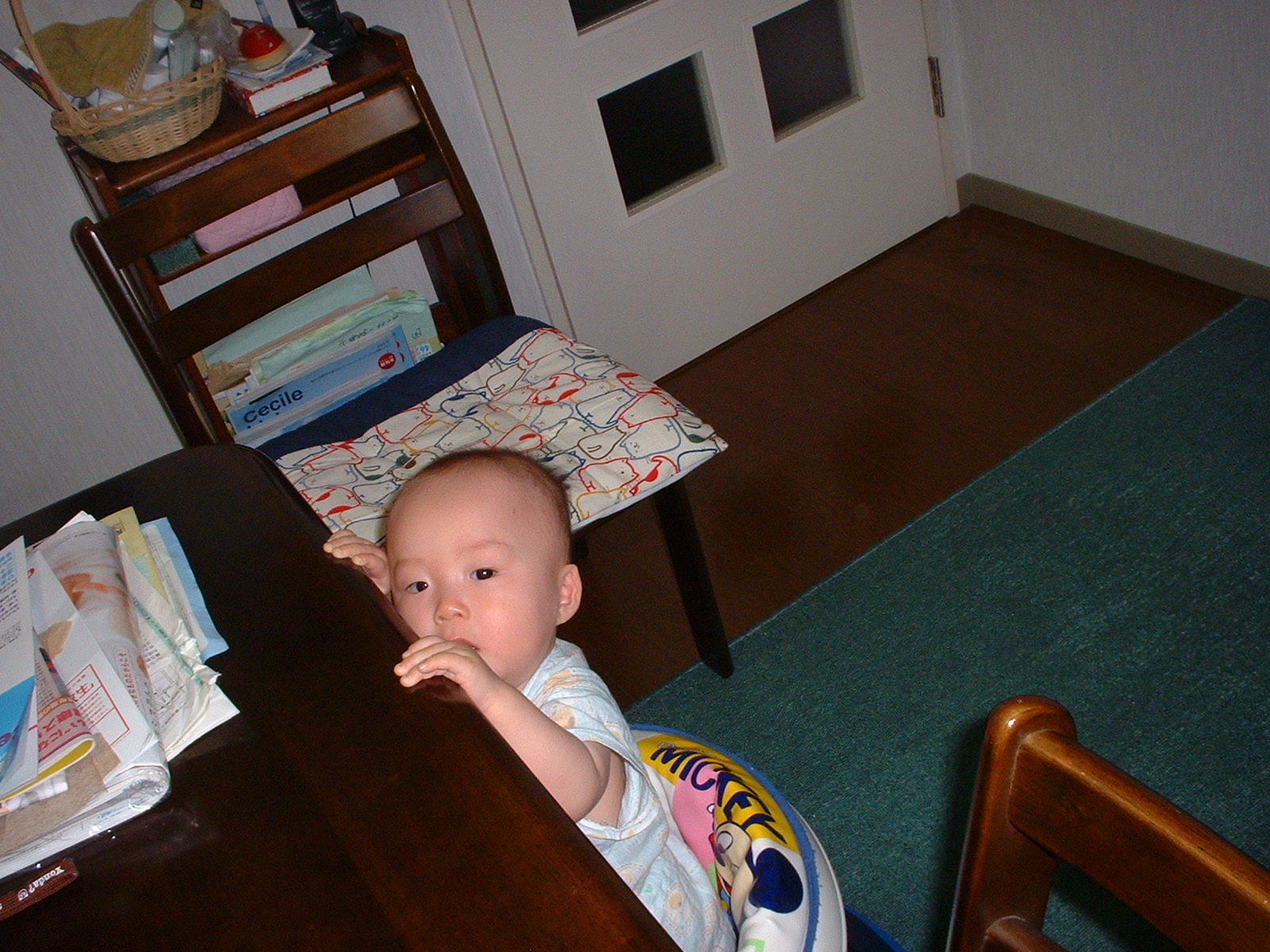 DSCF0028.JPG