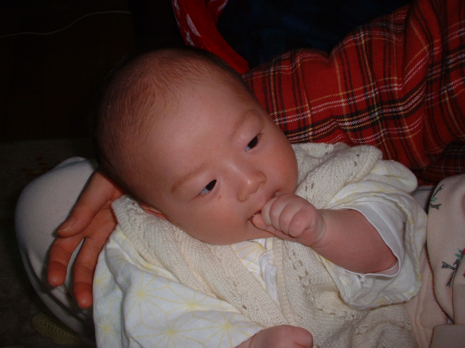 DSCF0033.JPG