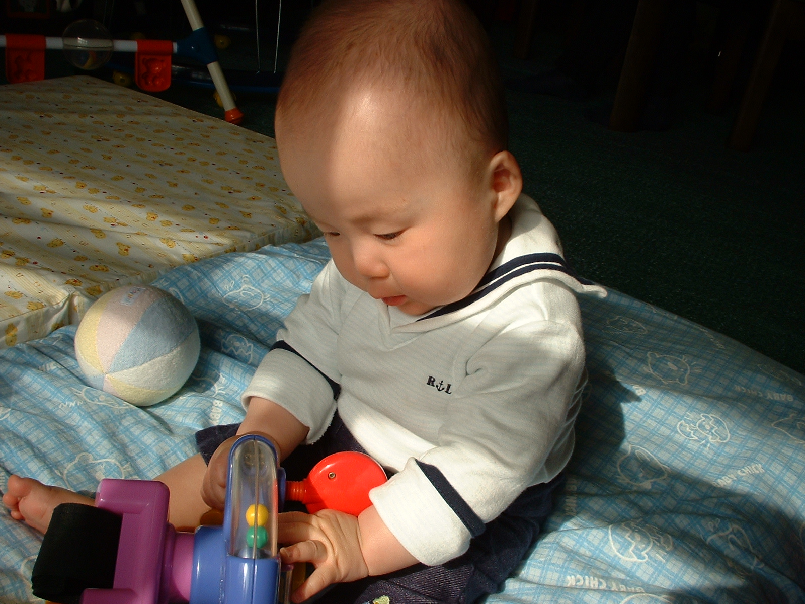 DSCF0035.JPG