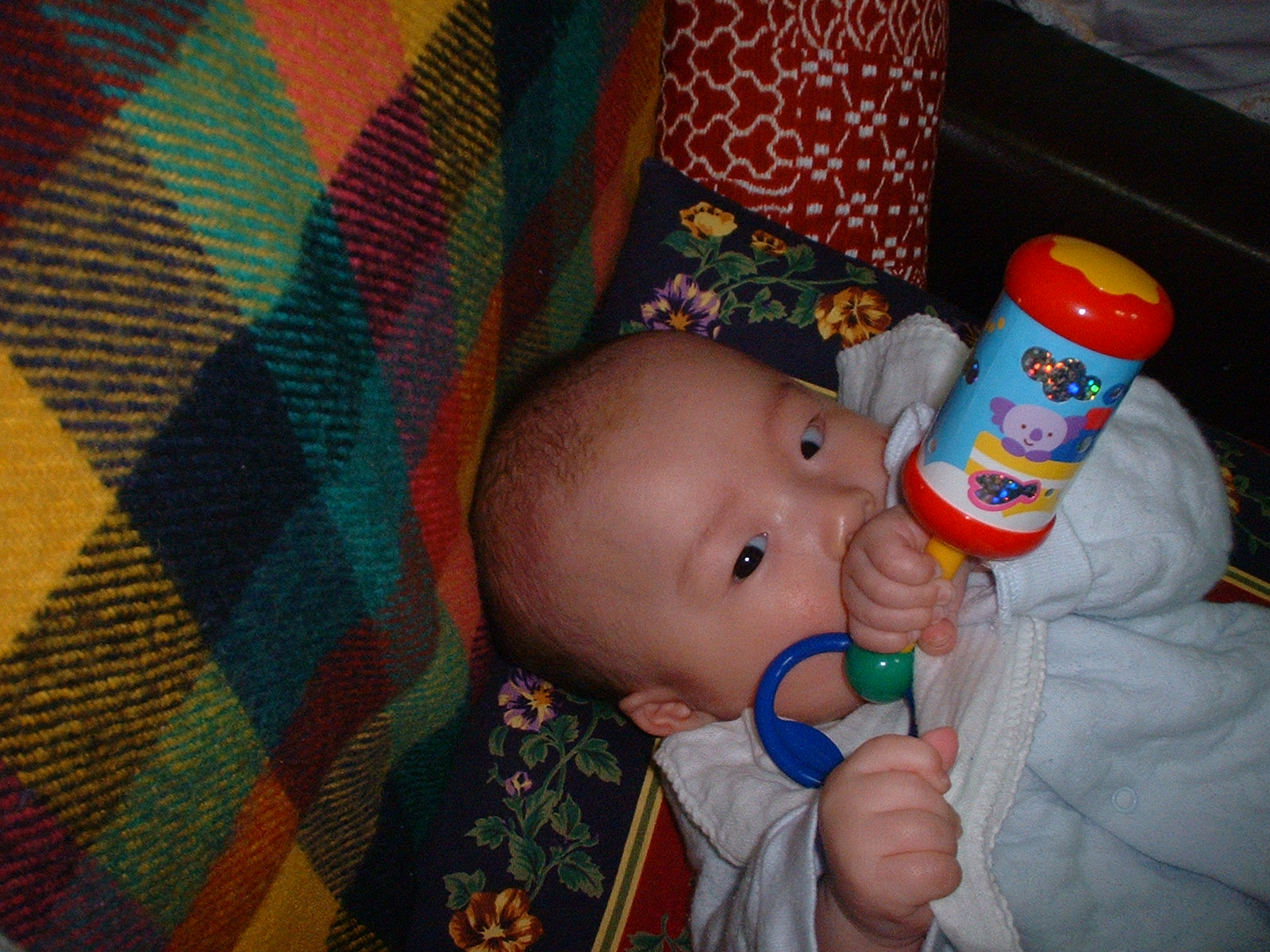 DSCF0050.JPG
