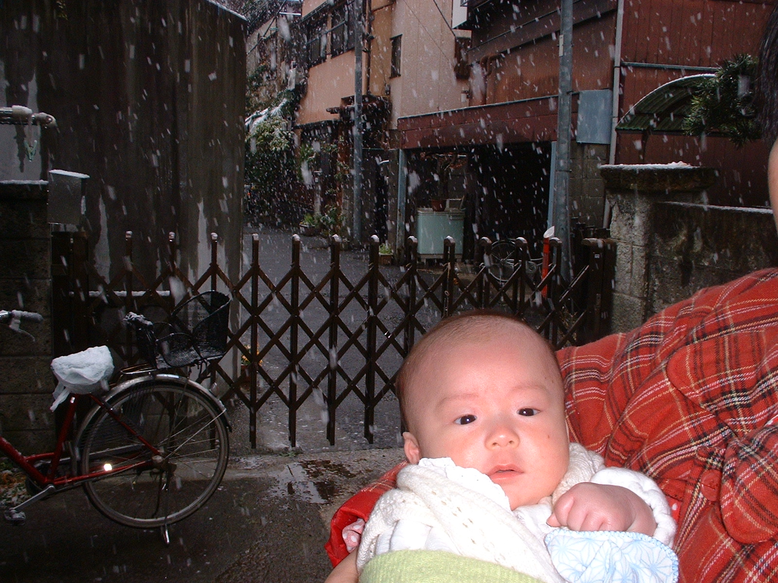 DSCF0060.JPG