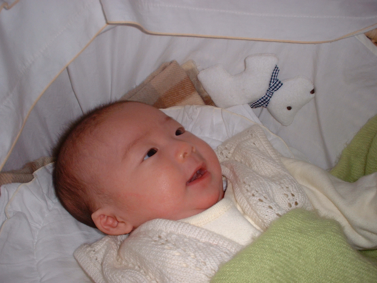DSCF2004120601.JPG