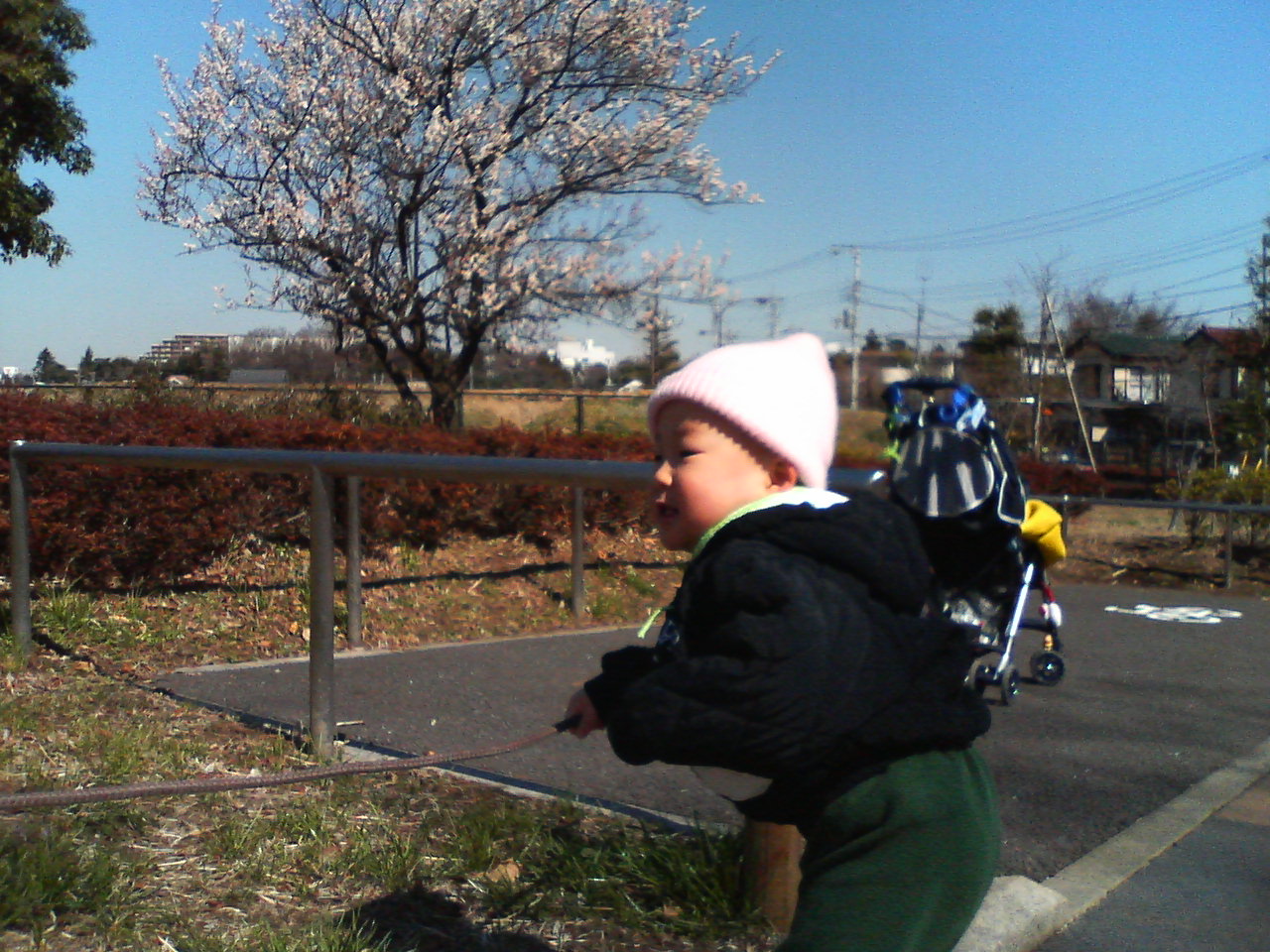 NEC_20060314_0004.JPG