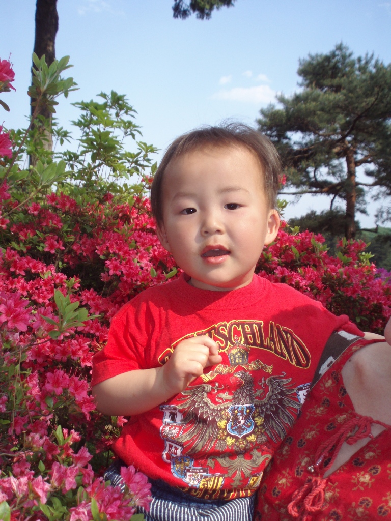 P5040048-2.jpg