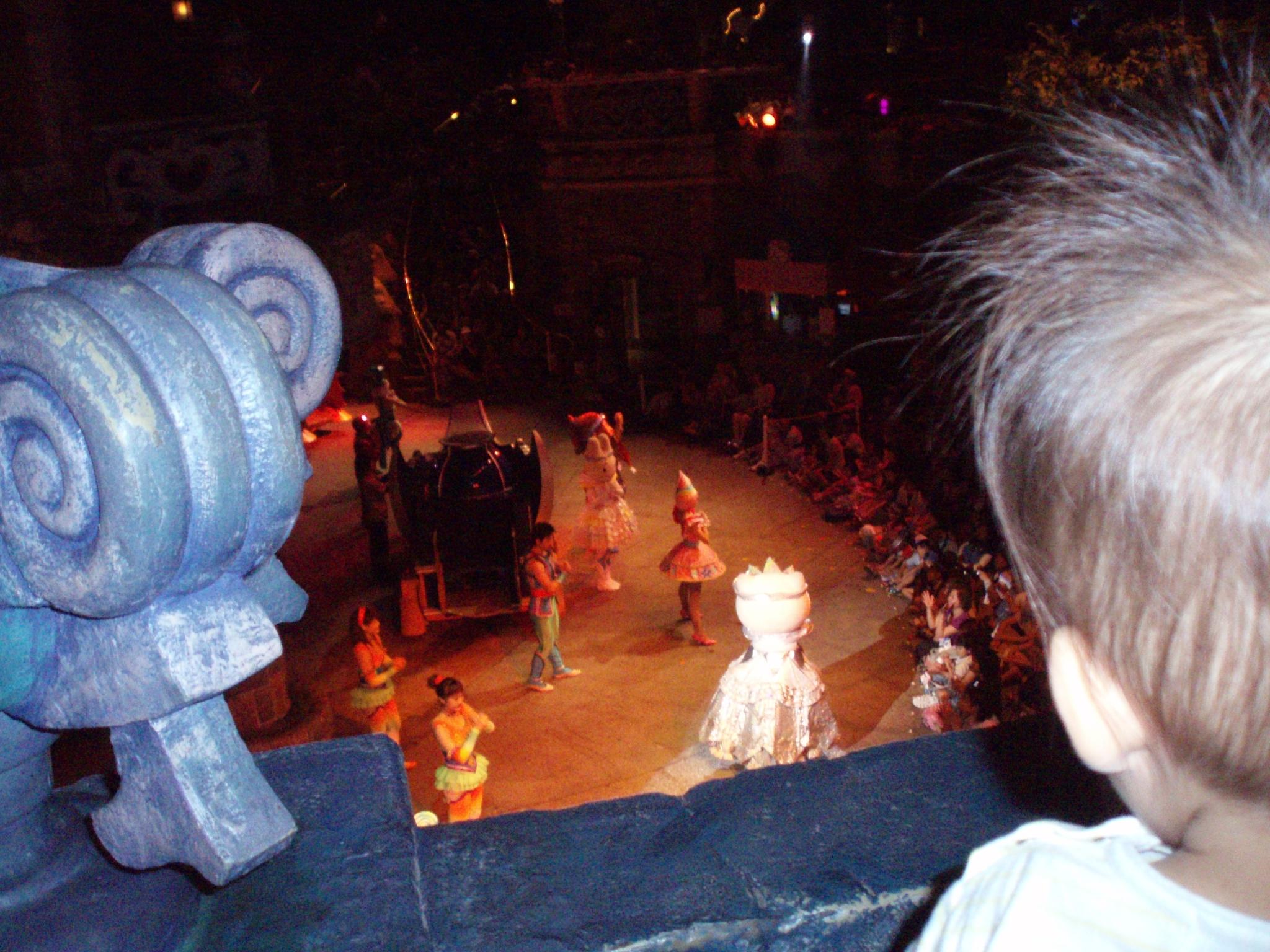 P8100060-2.JPG