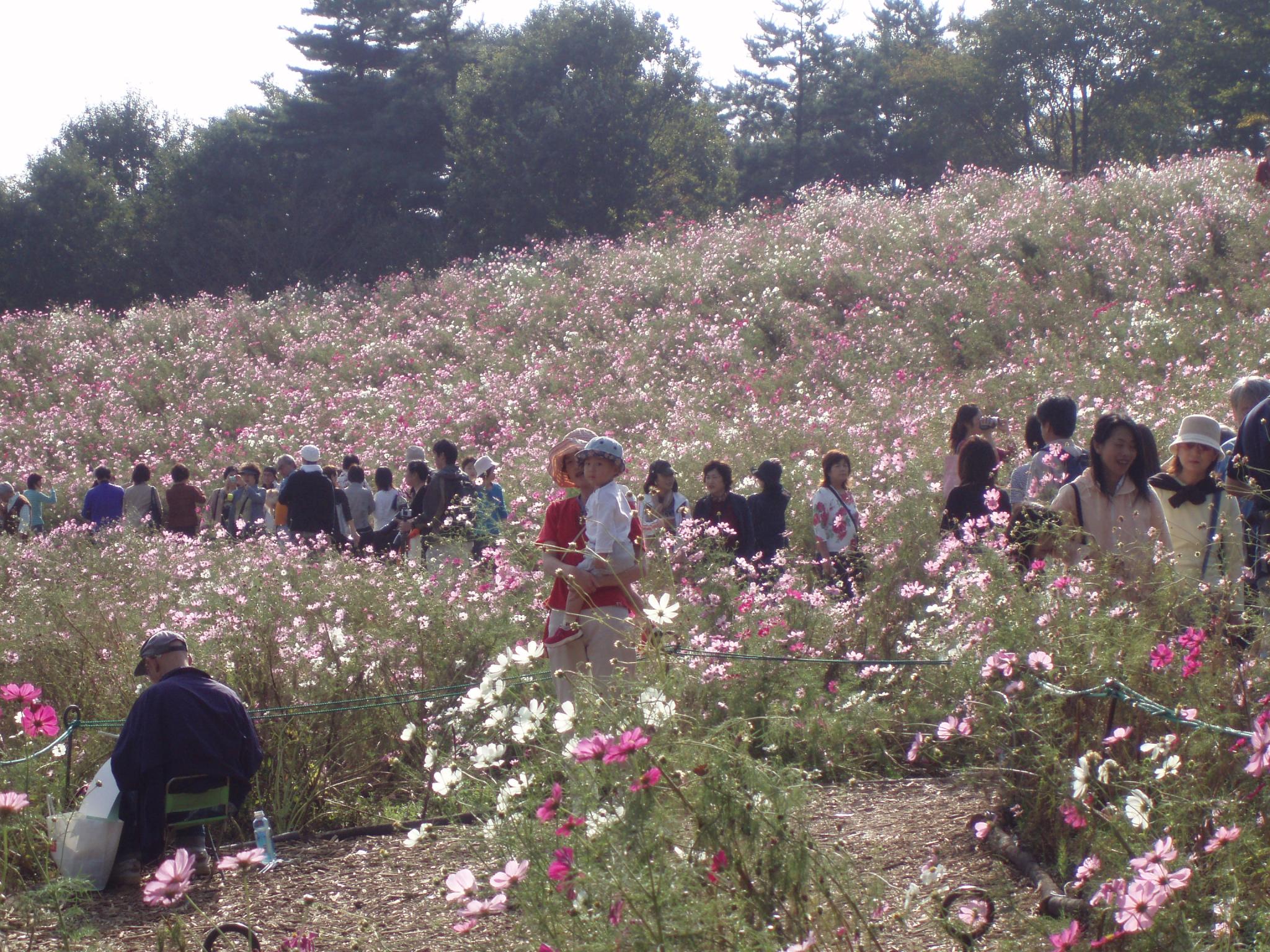 PA200610150010-2.JPG