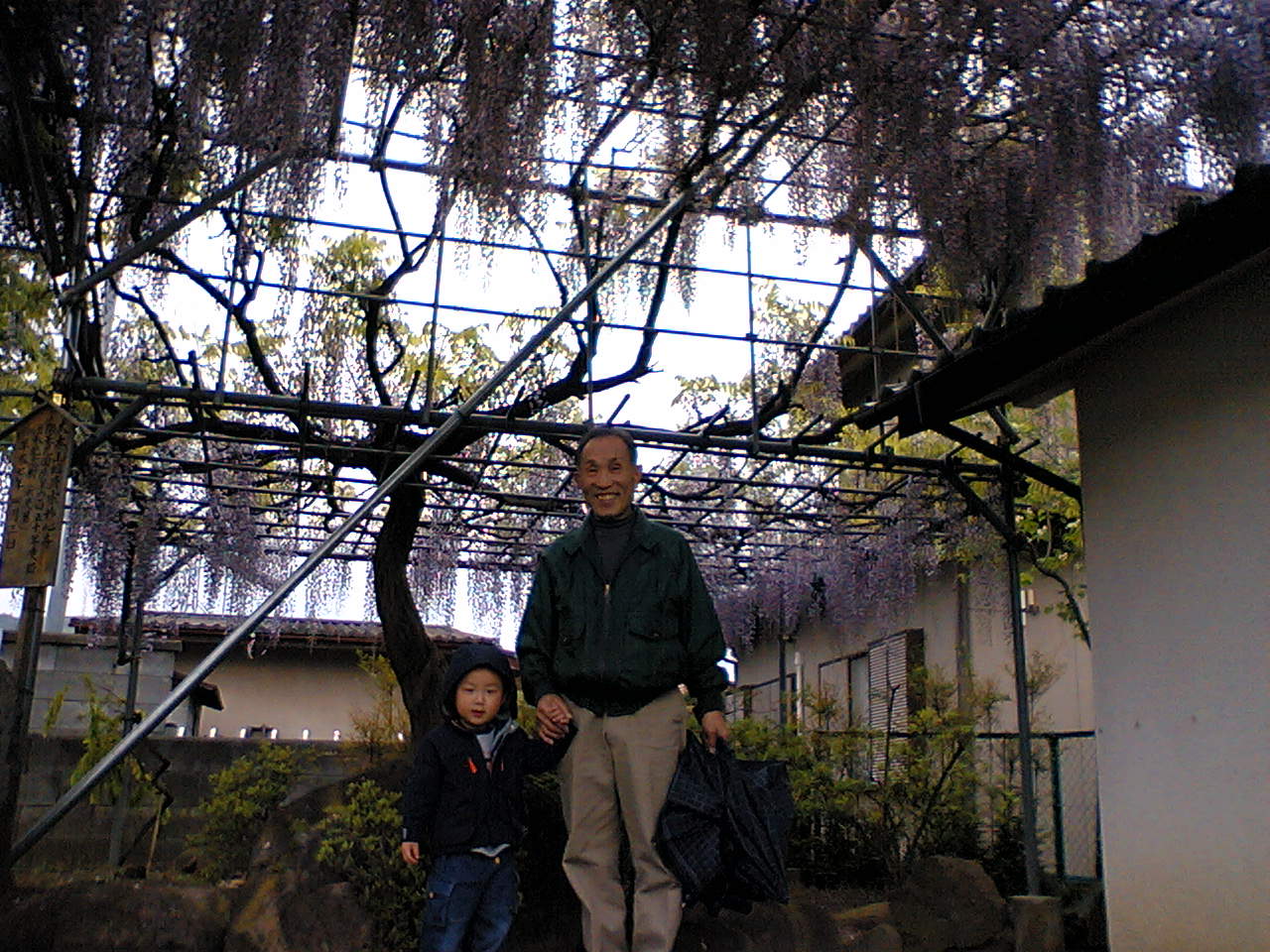 VFTS0021.JPG