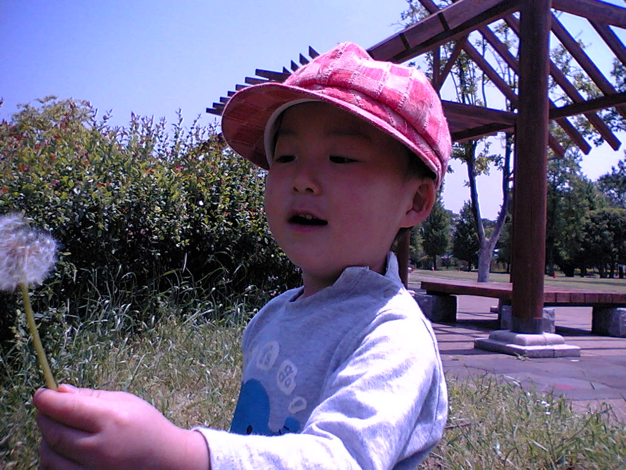 VFTS0027.JPG