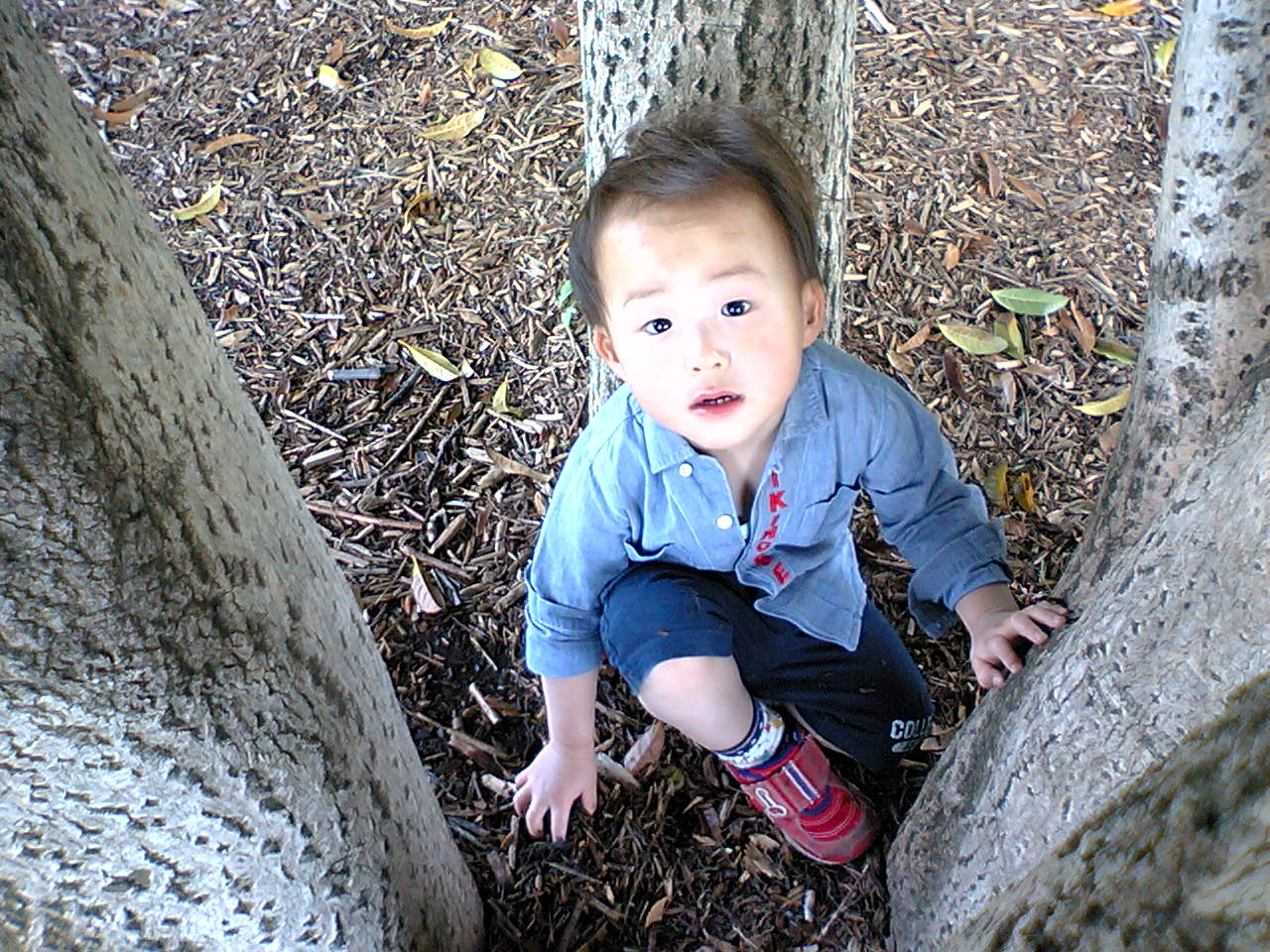 VFTS0041.JPG