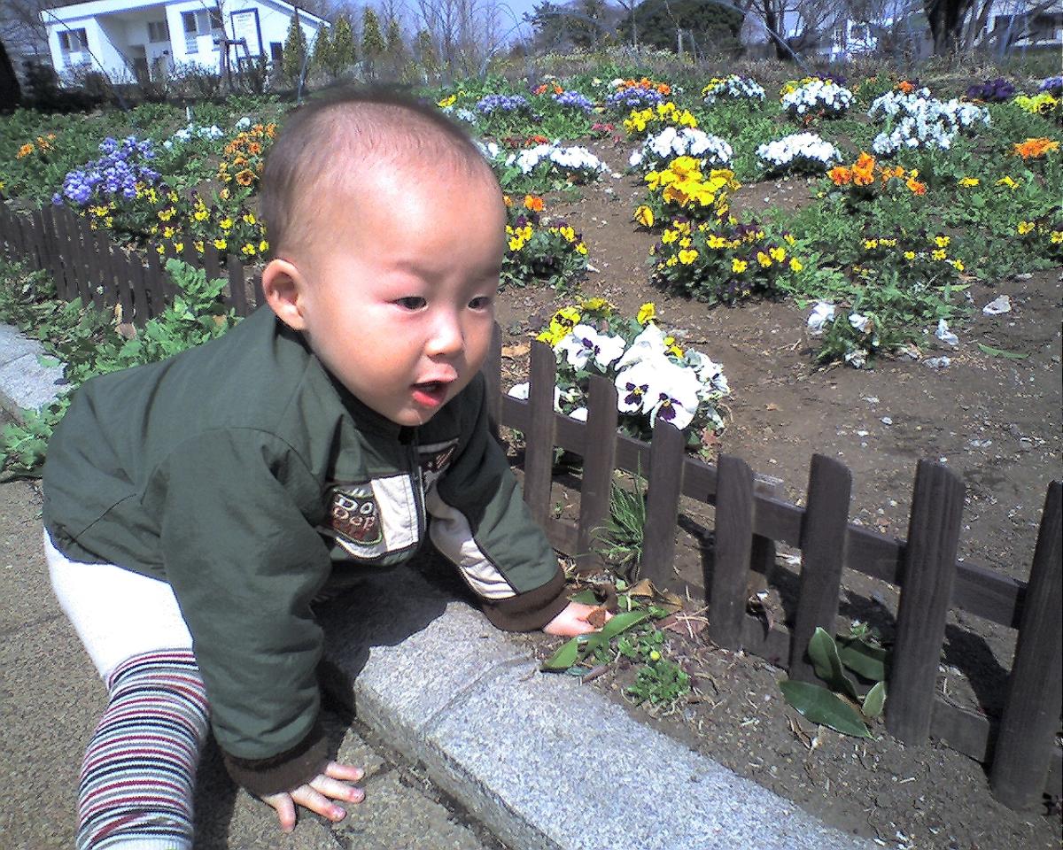 img20060321_073.jpg