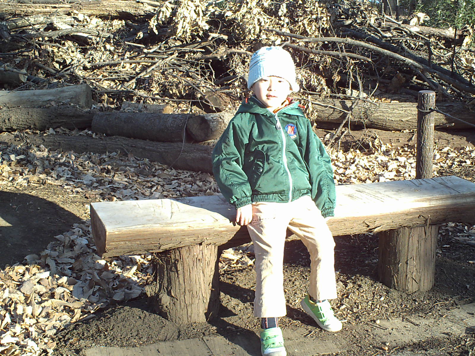 IMG_0012_20100116.JPG