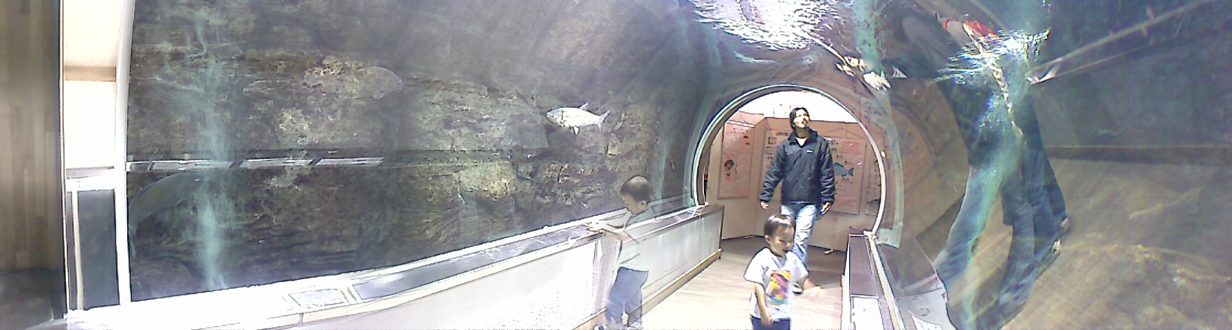 IMAGE_043.jpg
