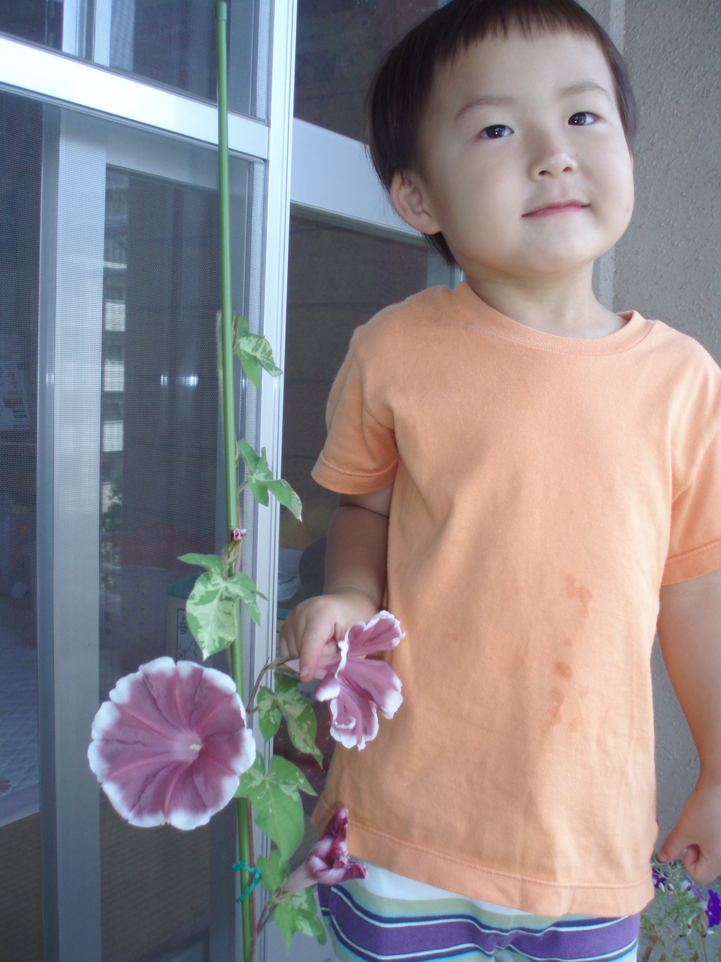 P7120002.JPG
