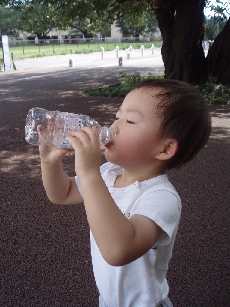 P9090024-2.jpg
