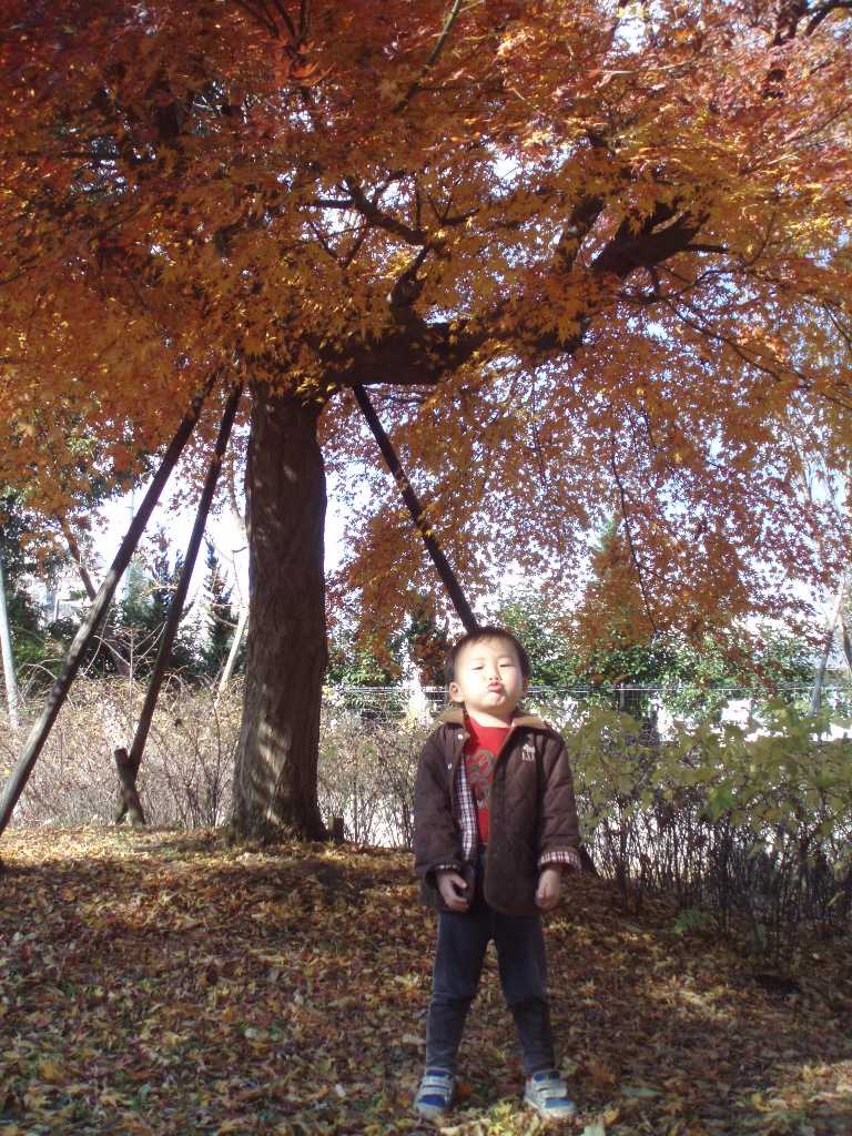 PC150019-2.jpg