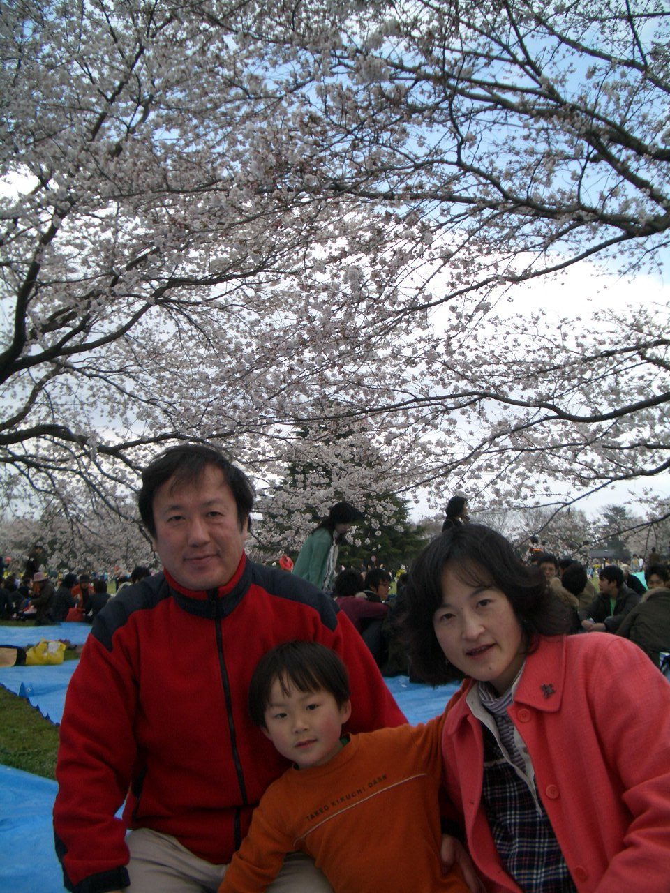 20100403-5.jpg