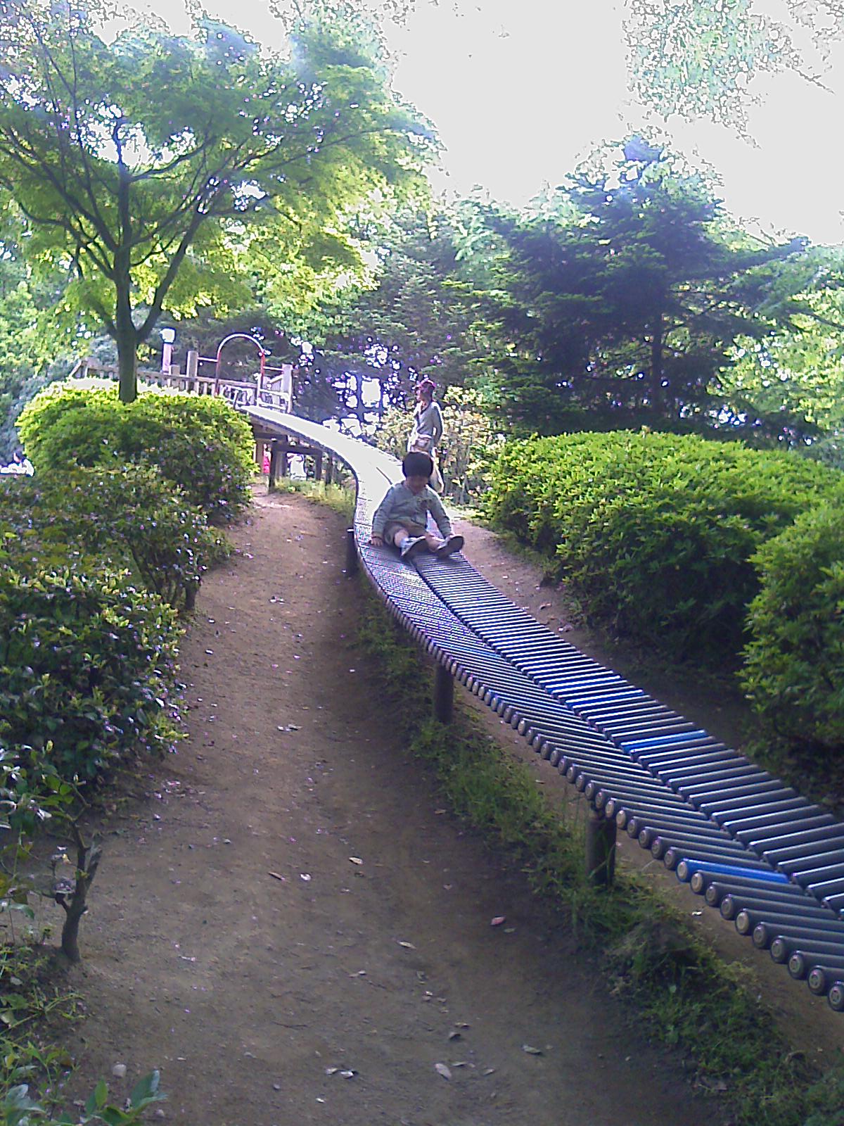 IMAGE_187.jpg