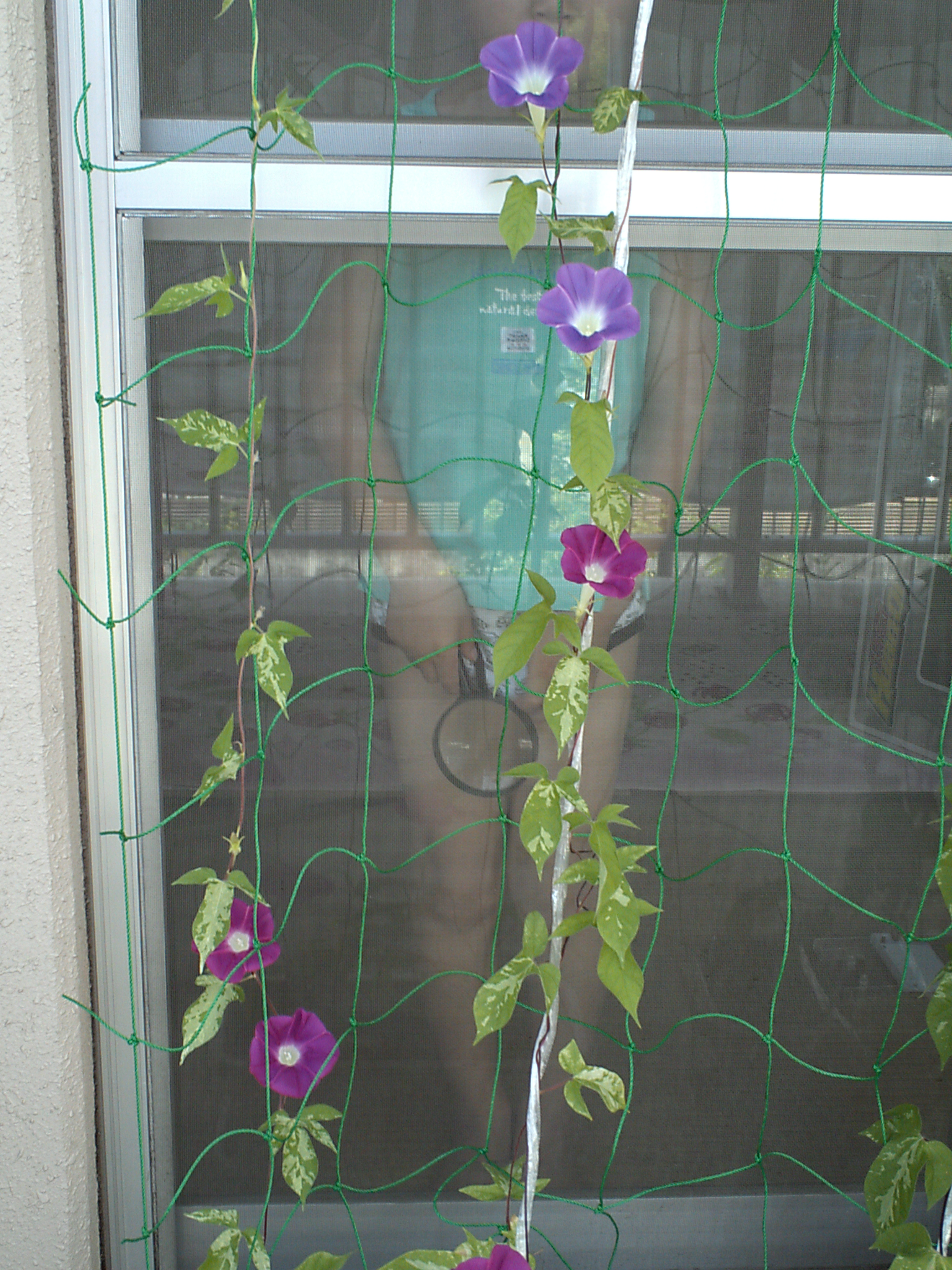 IMG_0005_20100824.JPG
