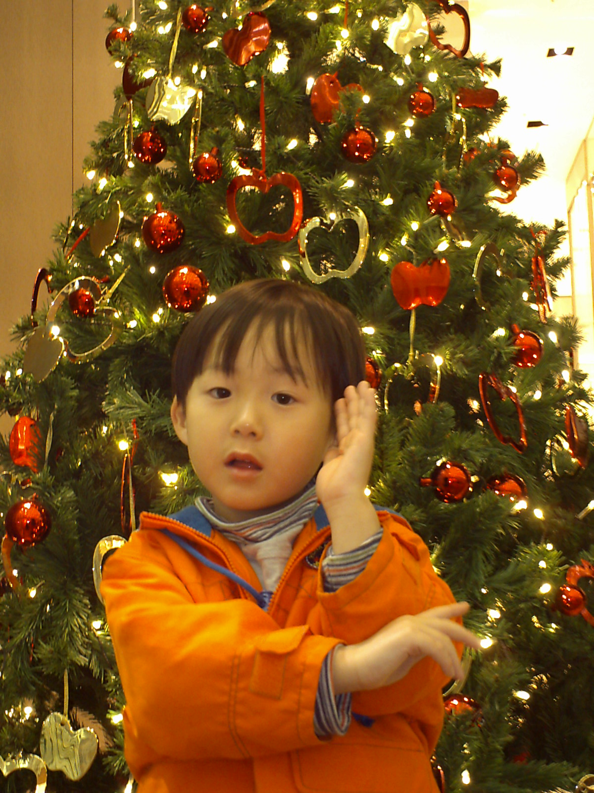 IMG_0025_20091121.JPG