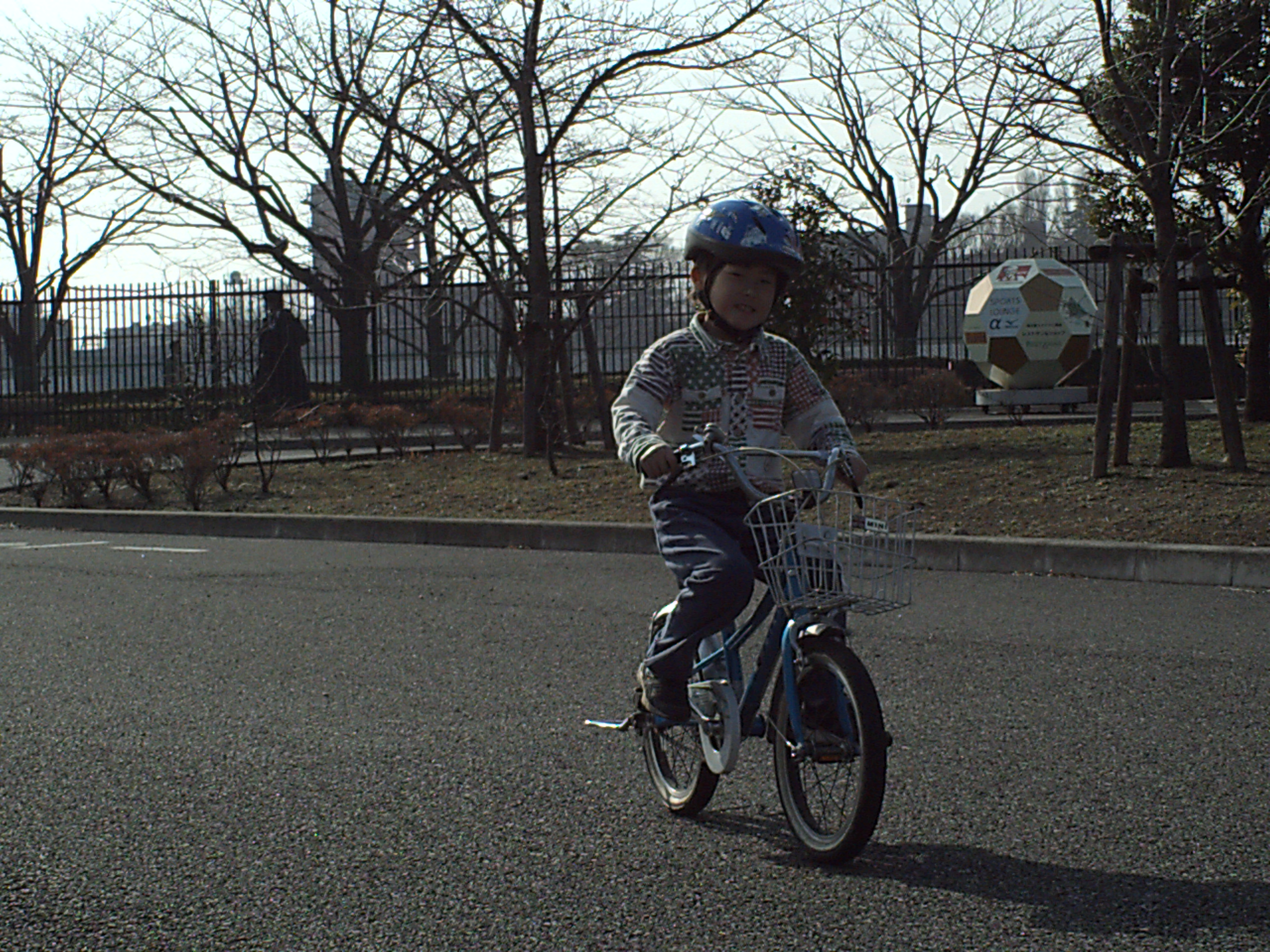 IMG_0045_20110227.JPG