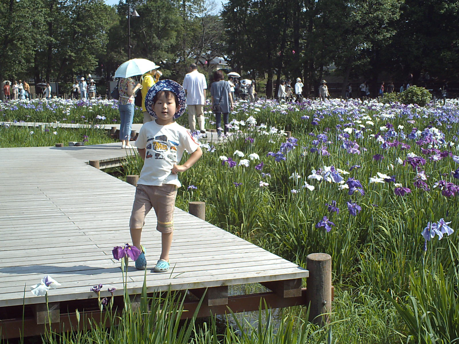IMG_0047_20100612.JPG