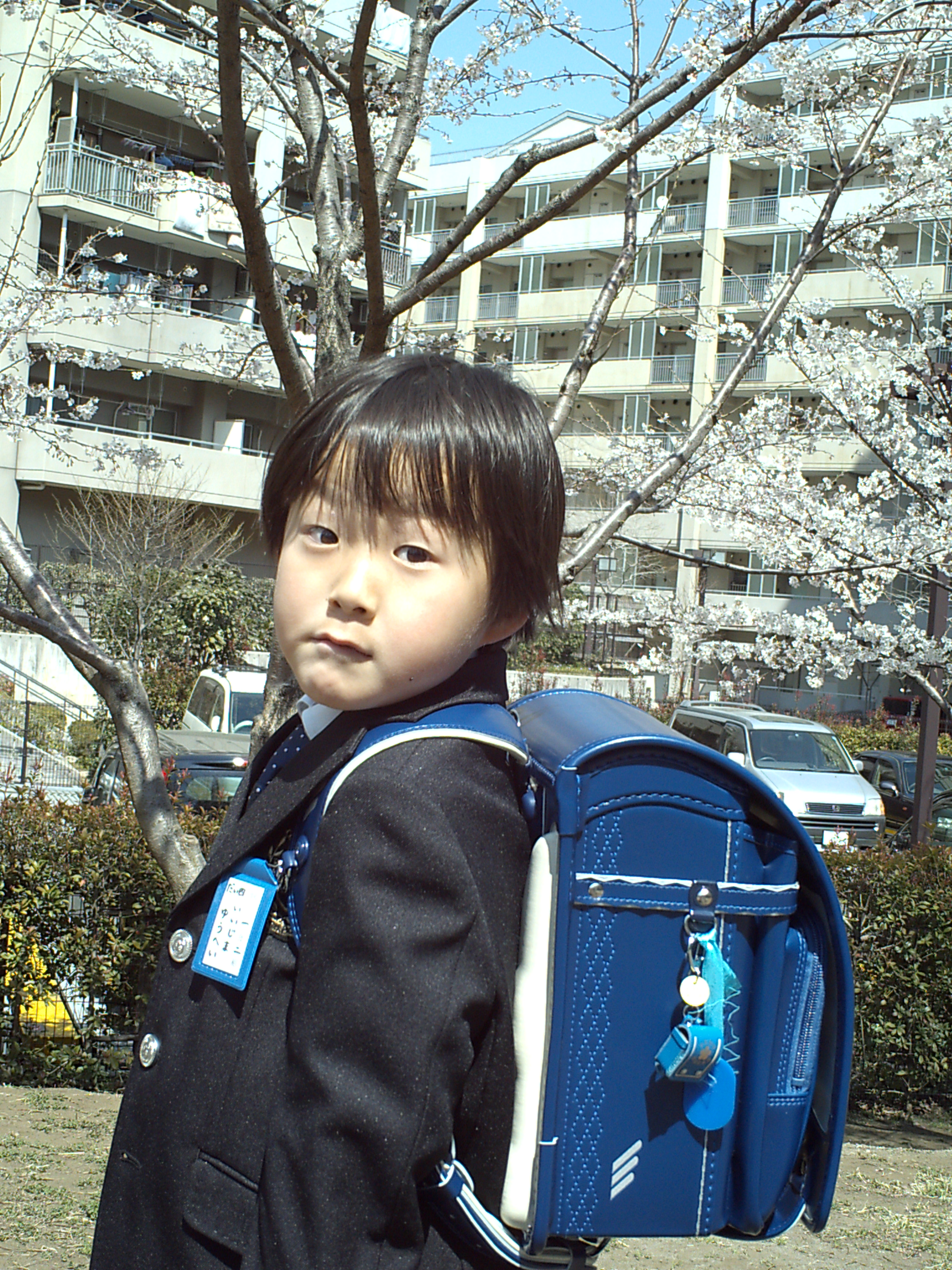 IMG_0110_20110406.JPG